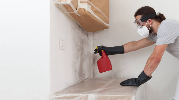 Professional Bathroom Mold Removal technician working in Chandler, TX