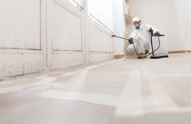 24/7 Emergency Bathroom Mold Removal experts in Chandler, TX